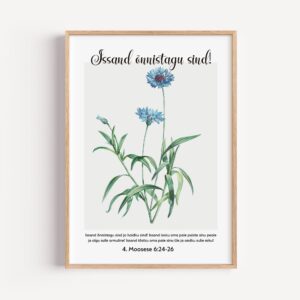 4. Moosese 6:24-26