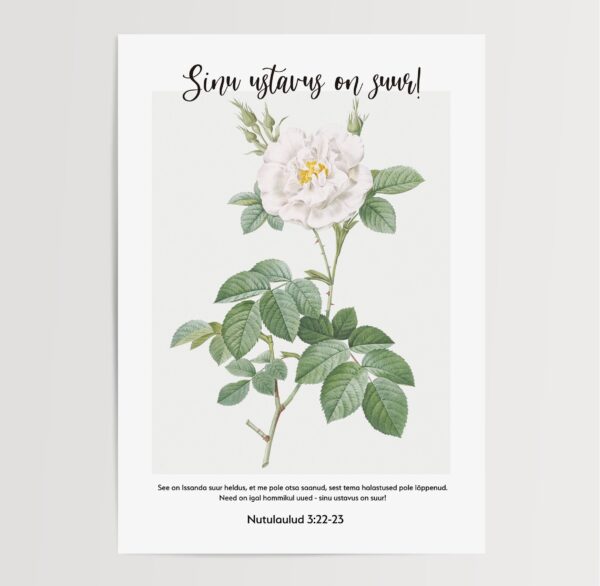 Nutulaulud 3:22-23 - Image 2