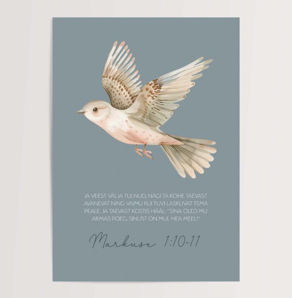 Markuse 1:10-11 - Image 3