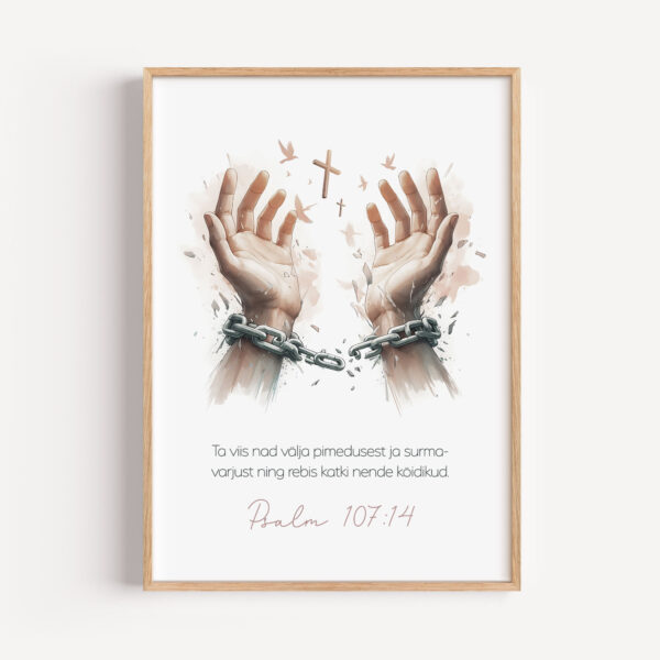 Psalm 107:14