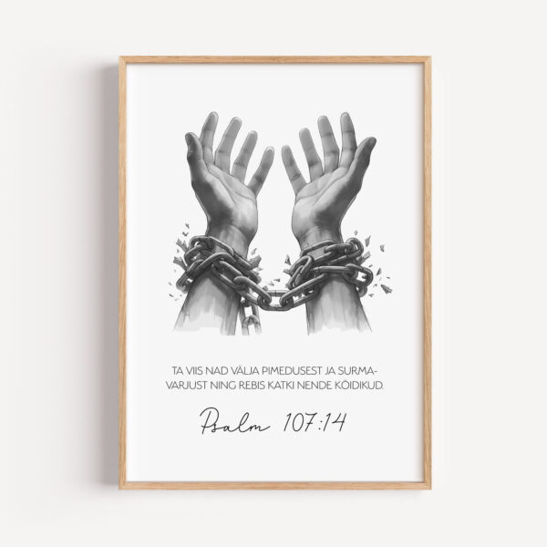 Psalm 107:14 - Image 6